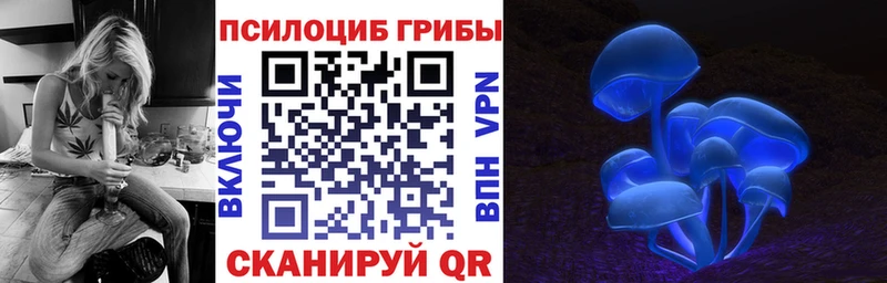 Галлюциногенные грибы мухоморы купить наркотики цена mega сайт Судак